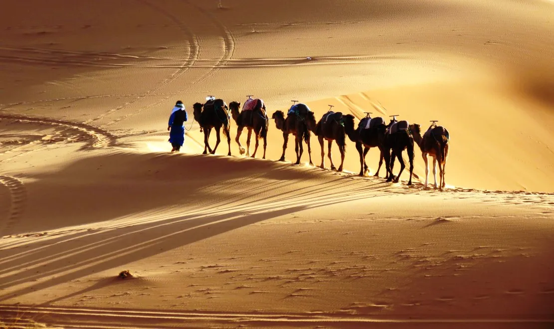 Cuadernos de viaje por Marruecos. Camino del desierto